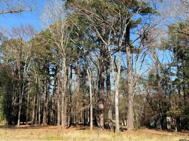 $270,000 | 11266 Farm To Market 344, Bullard, TX 75757