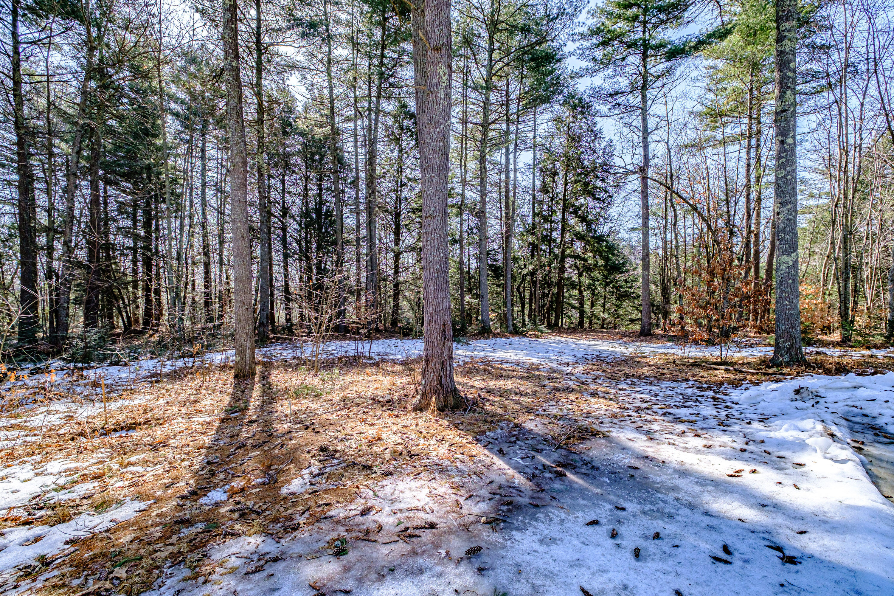 2 Tinker Lane Cumberland Center, ME 04021 - Photo 45 of 56 leach field behind garage