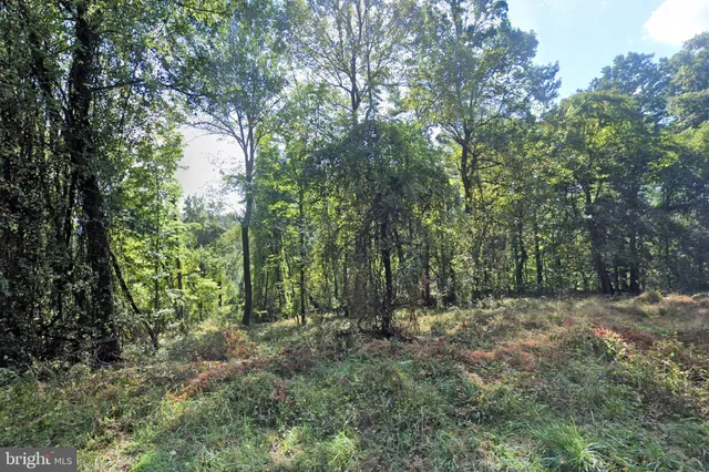 a view of outdoor space and green space