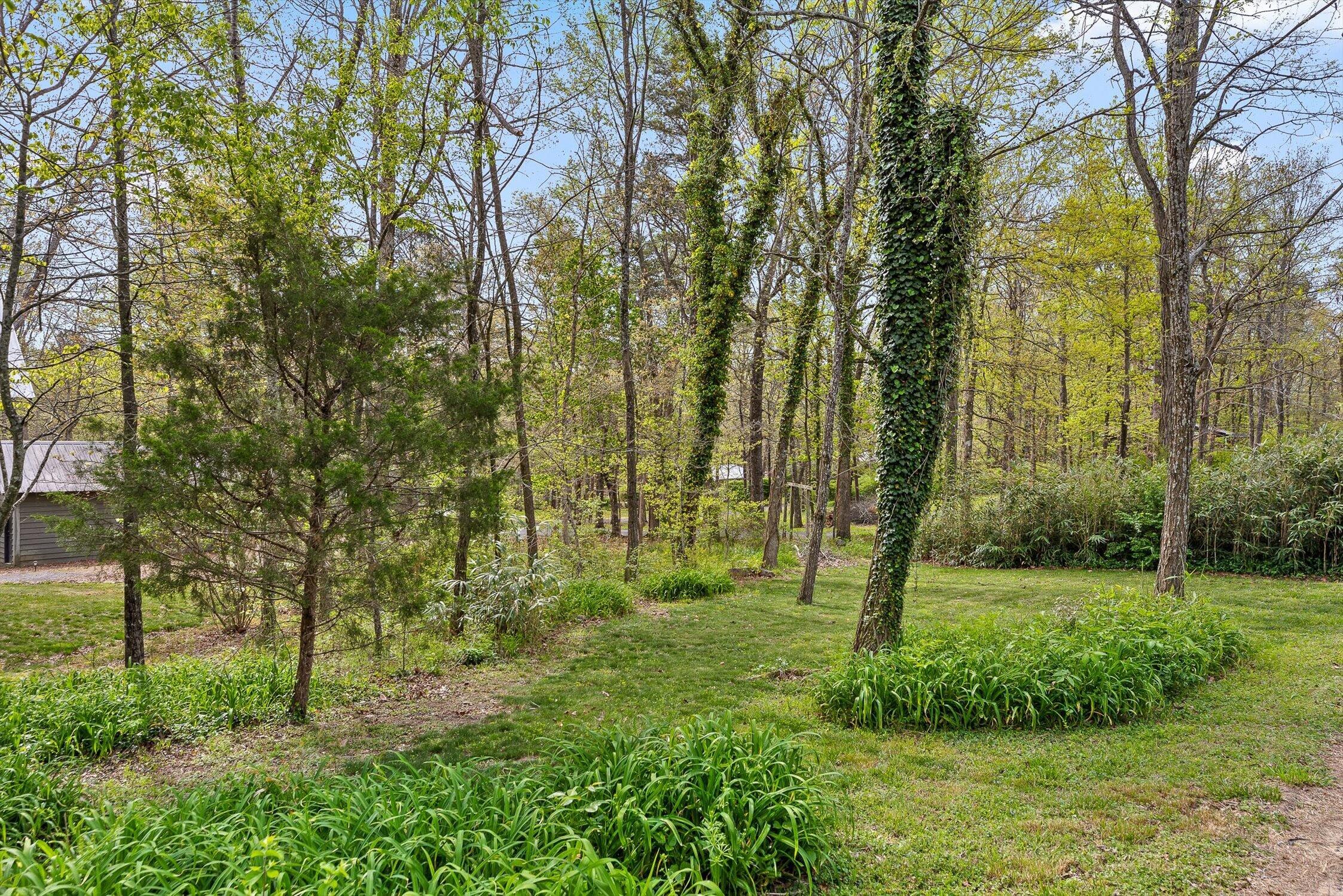 303 South Cool Street Mentone, AL 35984 - Photo 56 of 65 04-S Cool-4