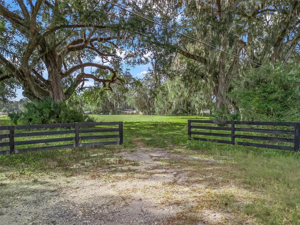 476 West C Bushnell, FL 33513 - Photo 2 of 8 a view of a park with large trees