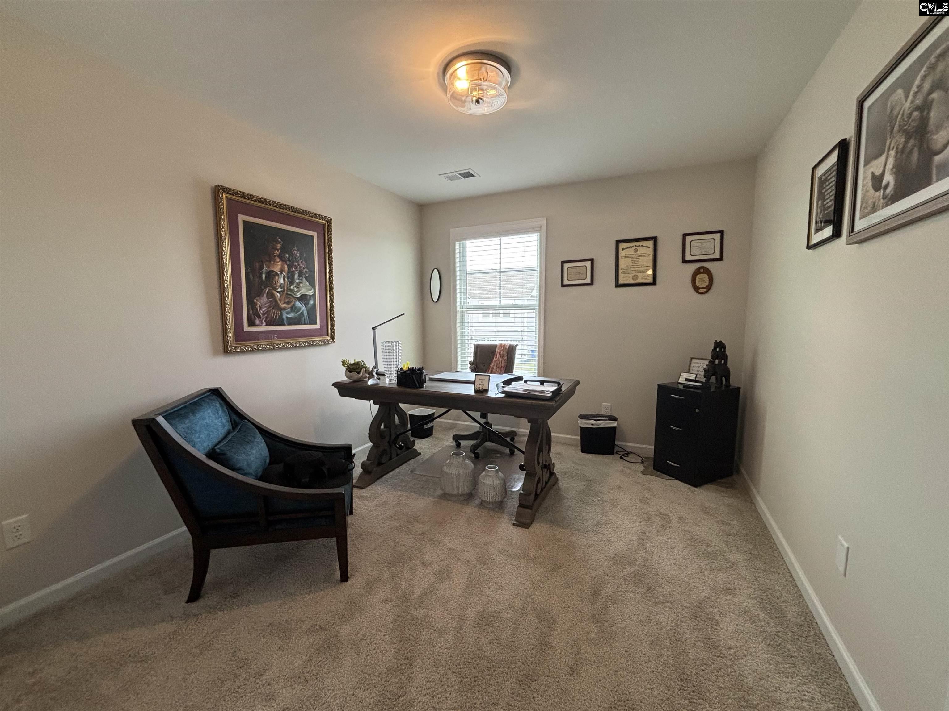 416 Peaceful Pnes Way Elgin, SC 29045 - Photo 34 of 47