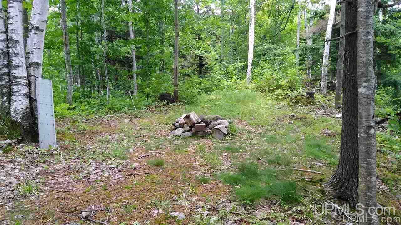 Tbd Trail Off Northwestern Road Big Bay, MI 49808 - Photo 10 of 12
