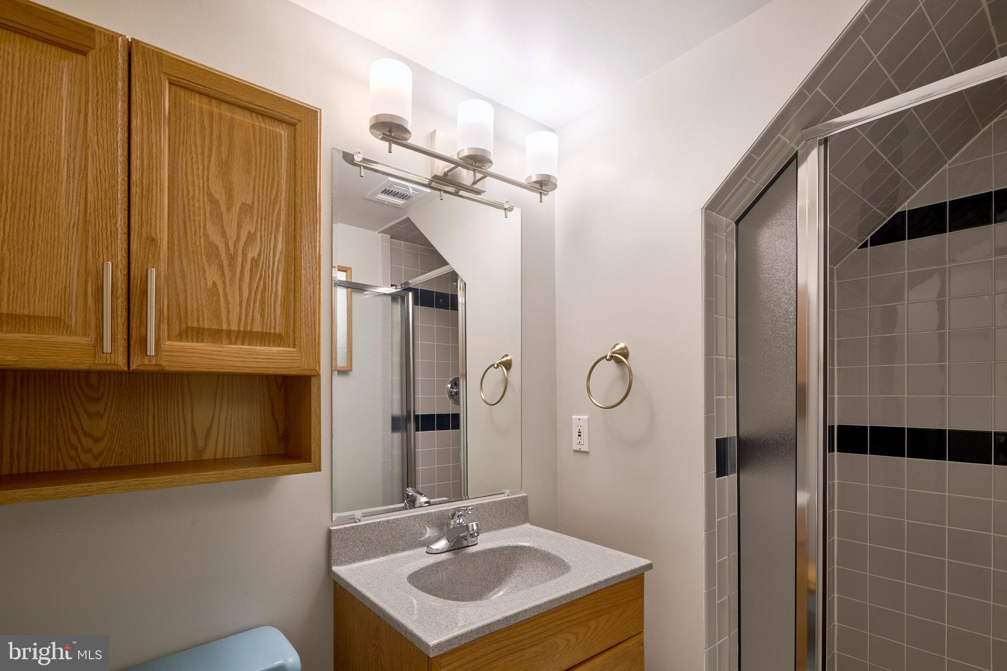 2403 Arrow Park Drive Alexandria, VA 22306 - Photo 49 of 56 Lower Level Full Bath #3