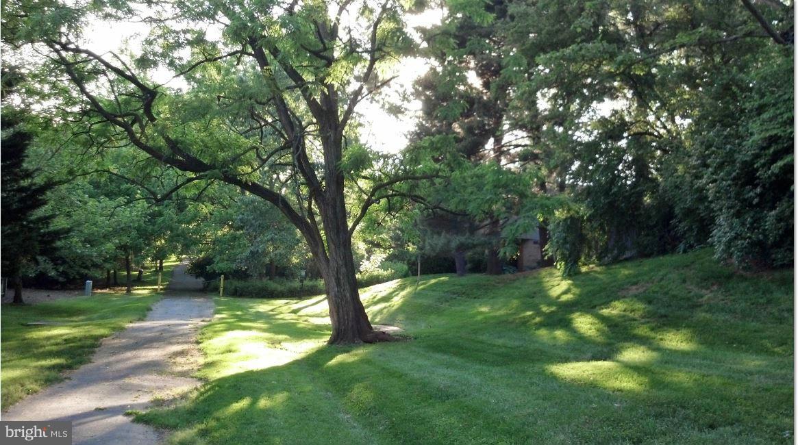 1805 Ivy Oak Square Reston, VA 20190 - Photo 8 of 8 Secluded walking trail right out your back door.