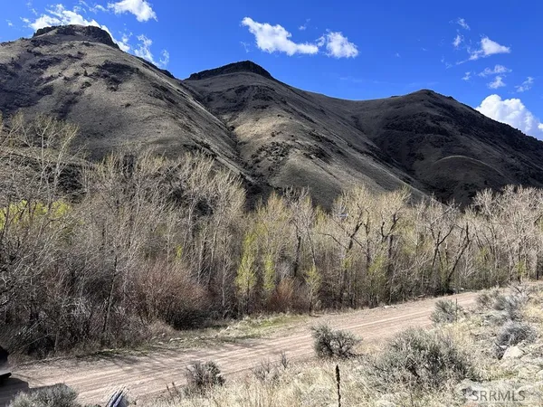 $29,000 | Tbd McKim Creek Road, Salmon, ID 83467