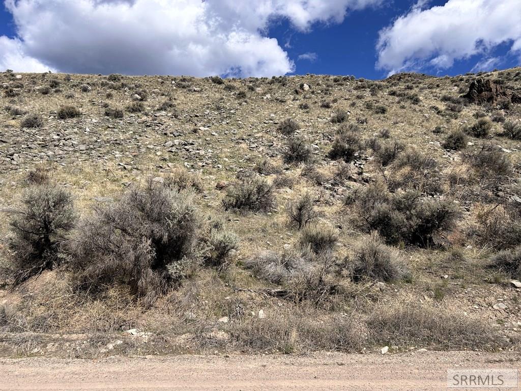 Tbd McKim Creek Road Salmon, ID 83467 - Photo 11 of 15