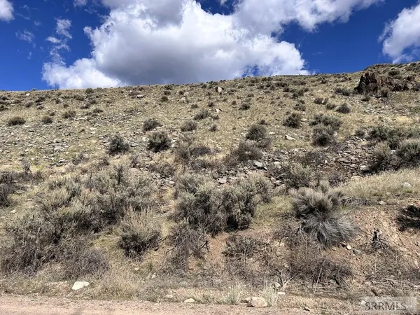 $29,000 | Tbd McKim Creek Road, Salmon, ID 83467