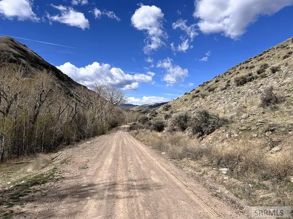$29,000 | Tbd McKim Creek Road, Salmon, ID 83467