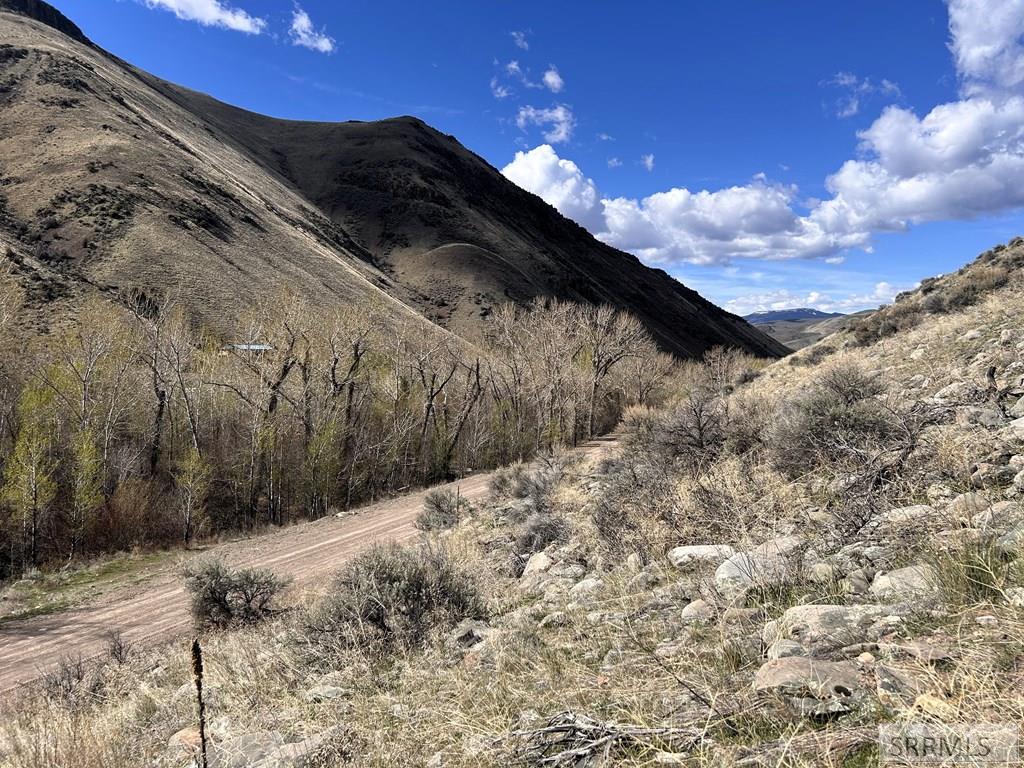 Tbd McKim Creek Road Salmon, ID 83467 - Photo 3 of 15
