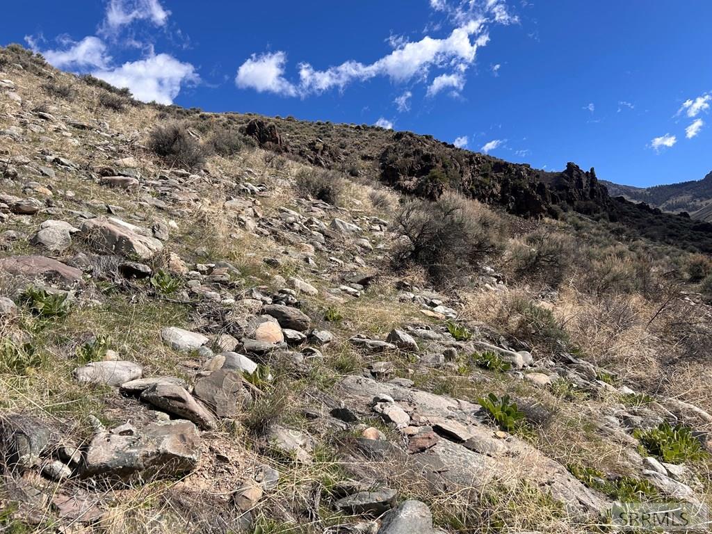 Tbd McKim Creek Road Salmon, ID 83467 - Photo 5 of 15