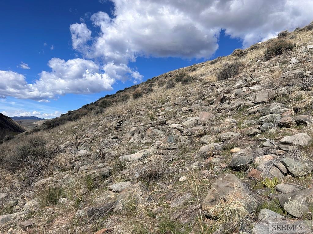 Tbd McKim Creek Road Salmon, ID 83467 - Photo 6 of 15