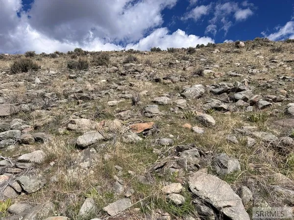 $29,000 | Tbd McKim Creek Road, Salmon, ID 83467