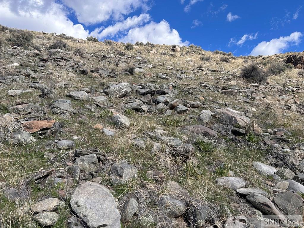 Tbd McKim Creek Road Salmon, ID 83467 - Photo 8 of 15