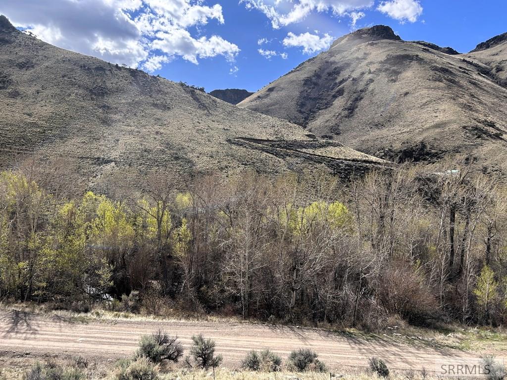 Tbd McKim Creek Road Salmon, ID 83467 - Photo 9 of 15