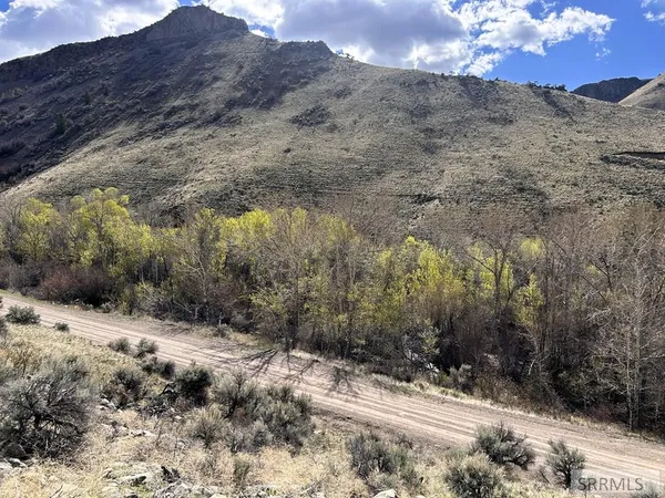 $29,000 | Tbd McKim Creek Road, Salmon, ID 83467