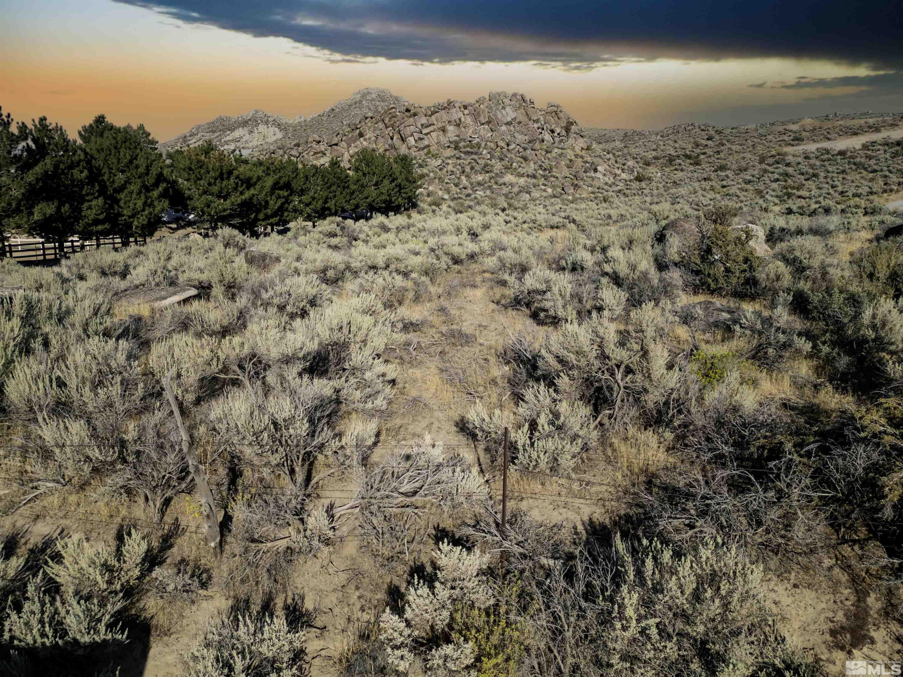 14590 Rancho Drive Reno, NV 89508 - Photo 4 of 4 a view of a yard