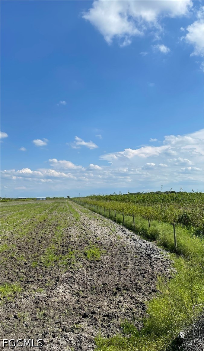 5567 5th Road LaBelle, FL 33935 - Photo 14 of 15