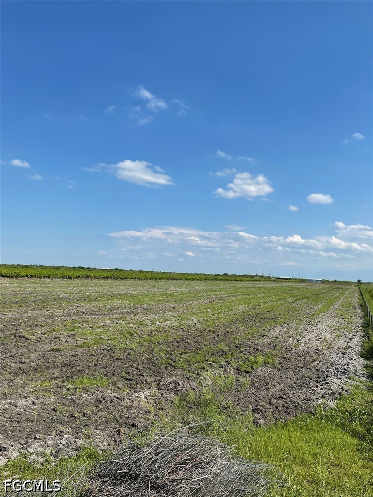 5567 5th Road LaBelle, FL 33935 - Photo 5 of 15