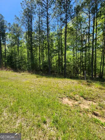 $22,500 | 674 Lower River Road, Covington, GA 30016