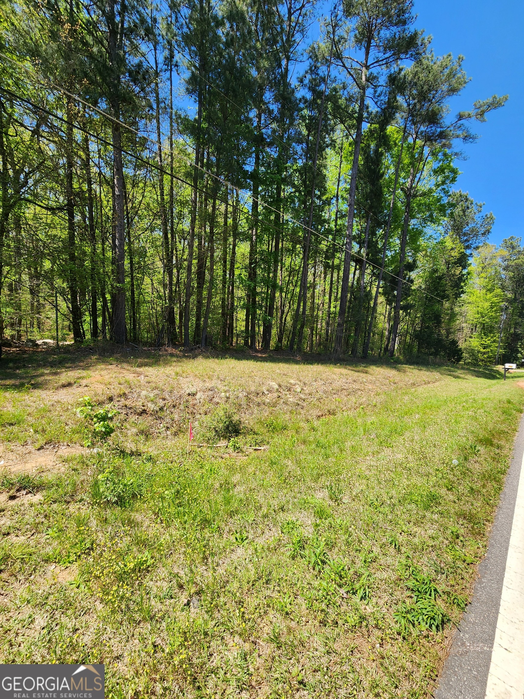 674 Lower River Road Covington, GA 30016 - Photo 11 of 15