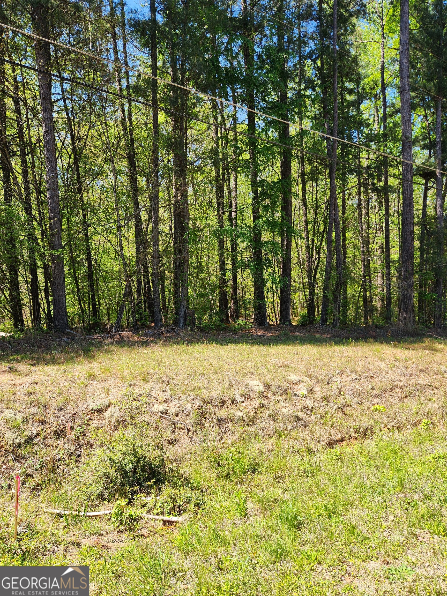 674 Lower River Road Covington, GA 30016 - Photo 2 of 15