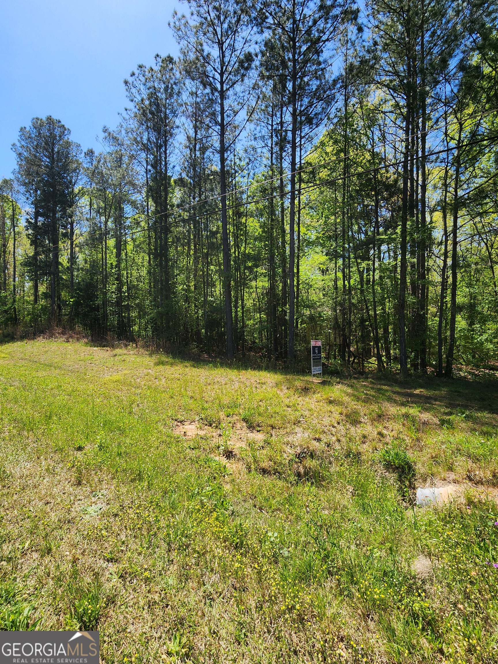 674 Lower River Road Covington, GA 30016 - Photo 3 of 15