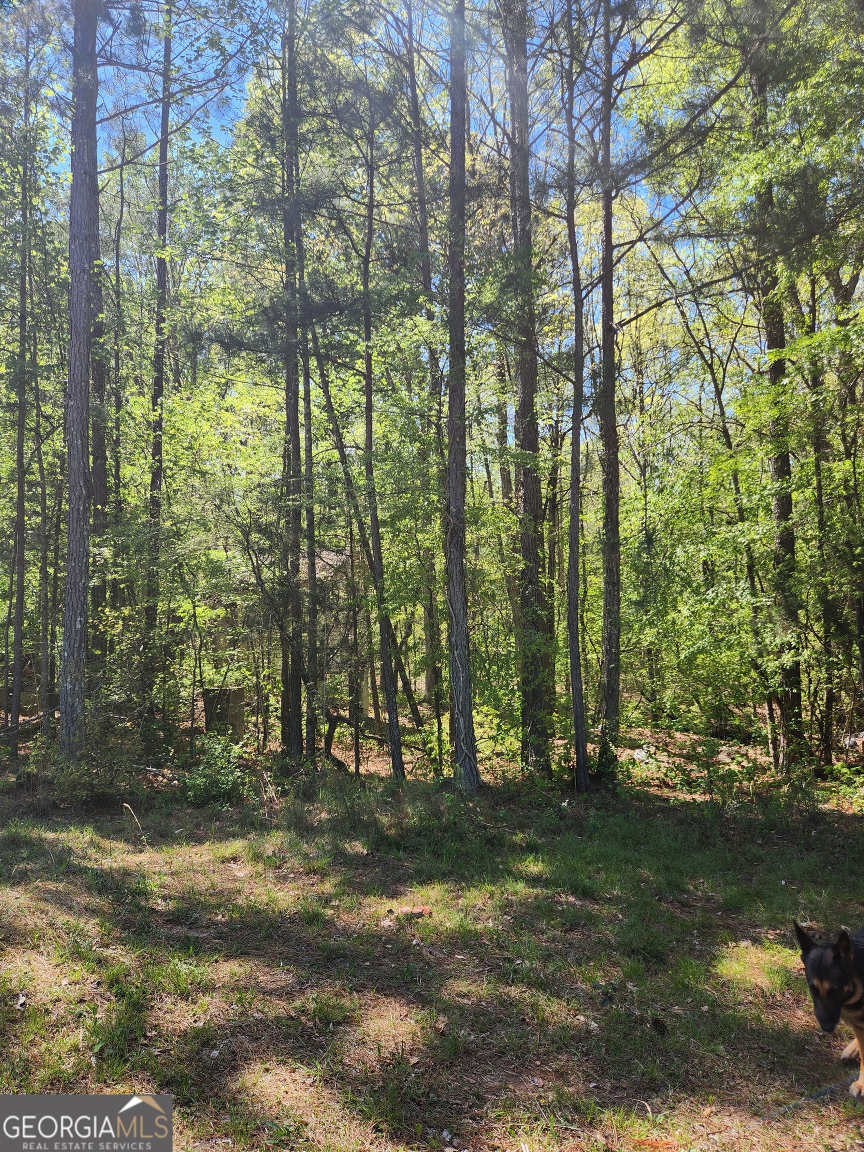 674 Lower River Road Covington, GA 30016 - Photo 4 of 15