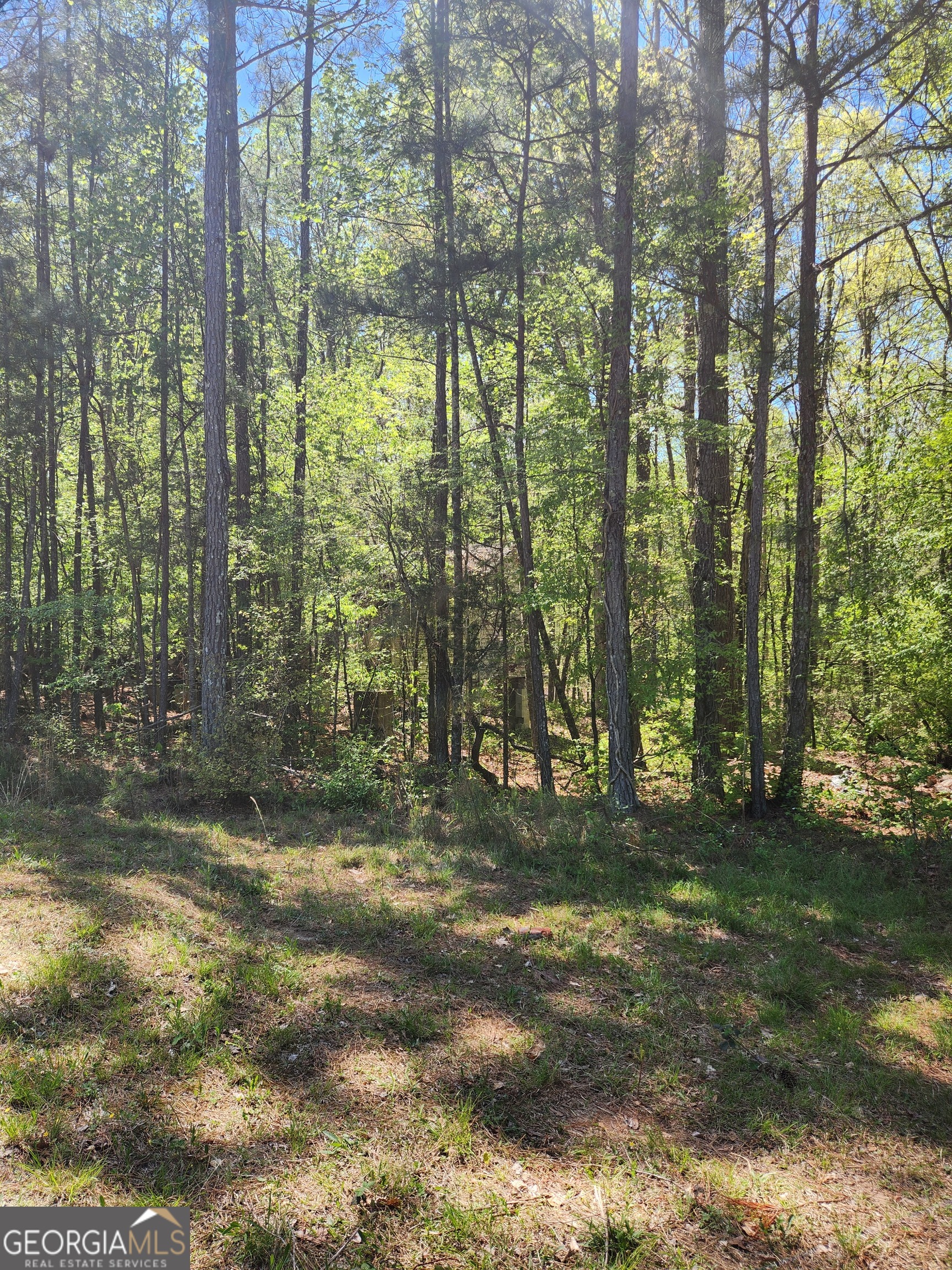 674 Lower River Road Covington, GA 30016 - Photo 6 of 15
