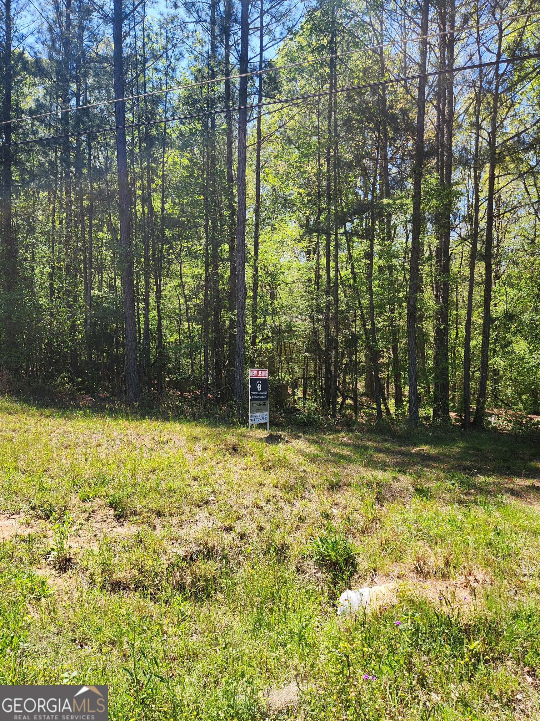 674 Lower River Road Covington, GA 30016 - Photo 7 of 15