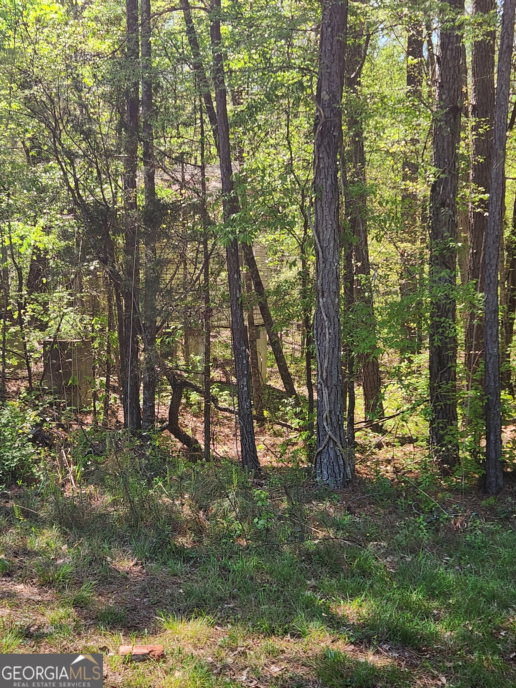 674 Lower River Road Covington, GA 30016 - Photo 8 of 15
