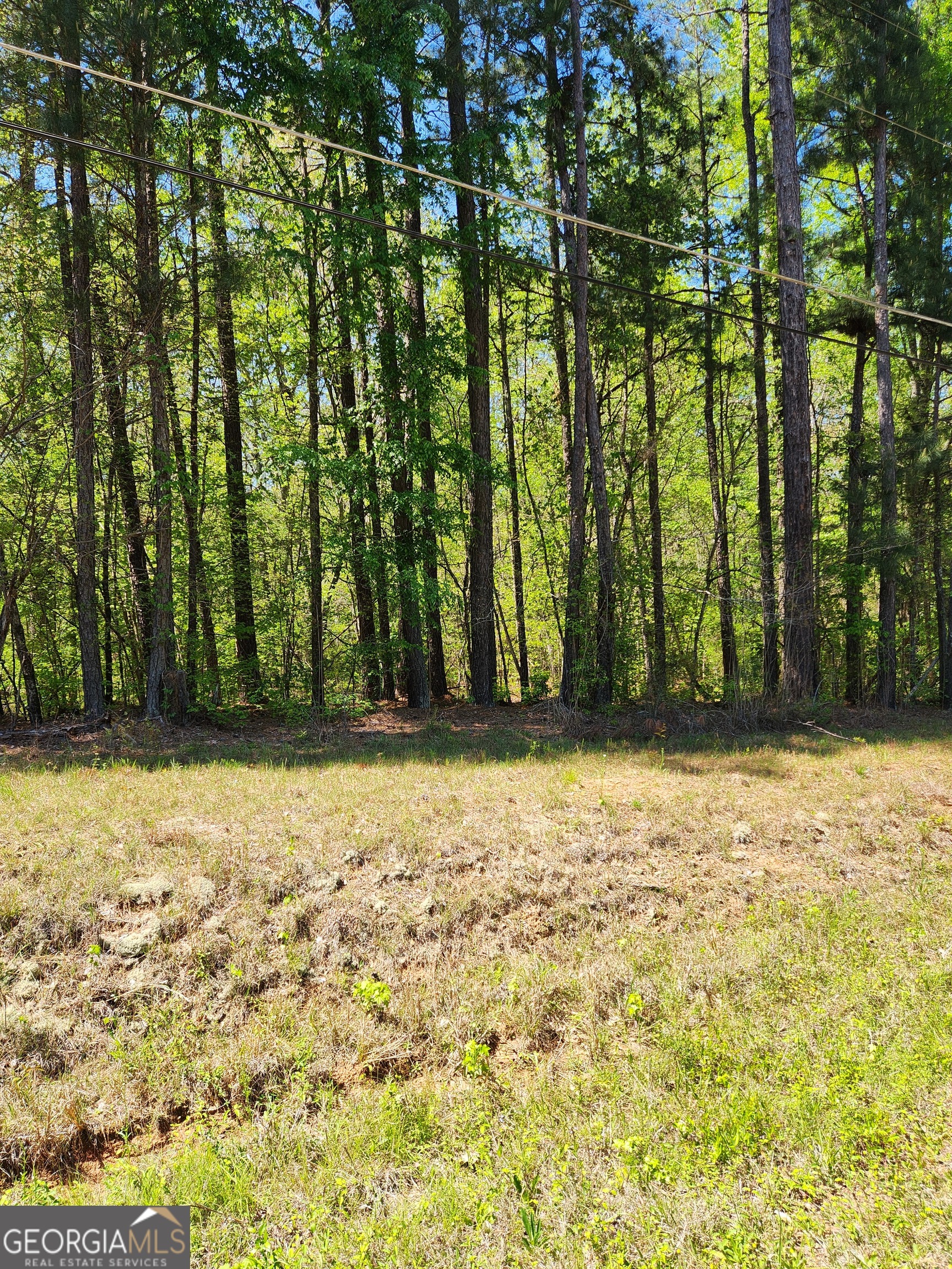 674 Lower River Road Covington, GA 30016 - Photo 9 of 15