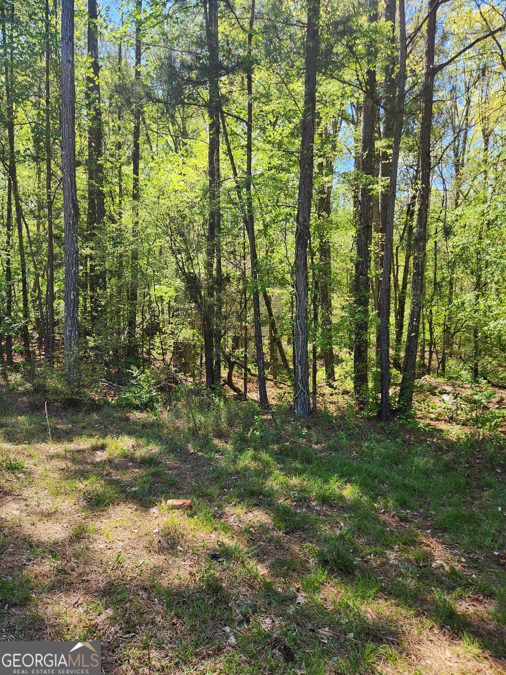 674 Lower River Road Covington, GA 30016 - Photo 10 of 15