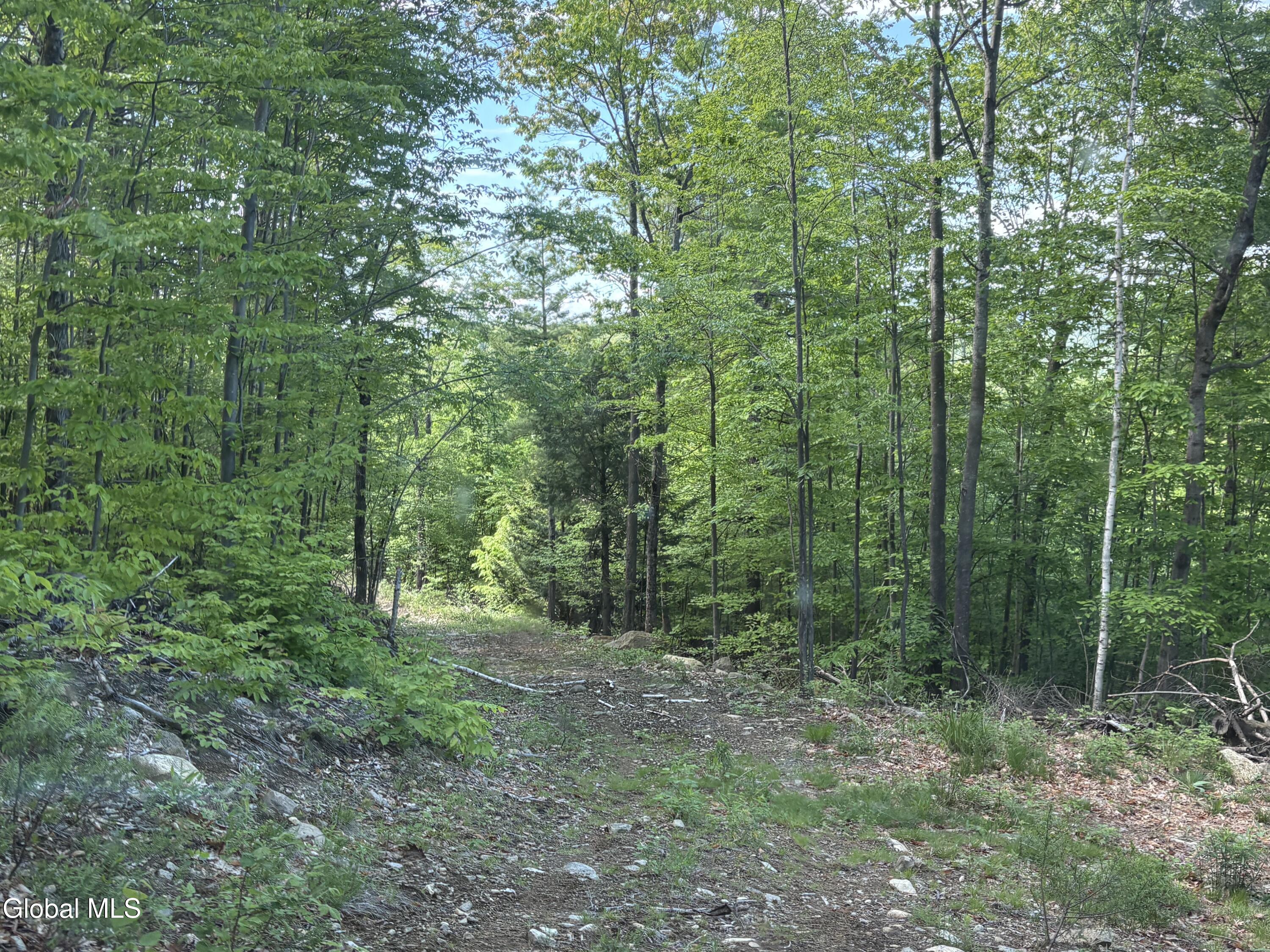 158 Cheney Road Port Henry, NY 12974 - Photo 20 of 55 IMG_9206