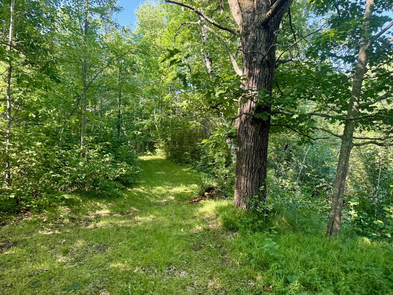 38252 Cloverdale Road Hinckley, MN 55037 - Photo 10 of 54