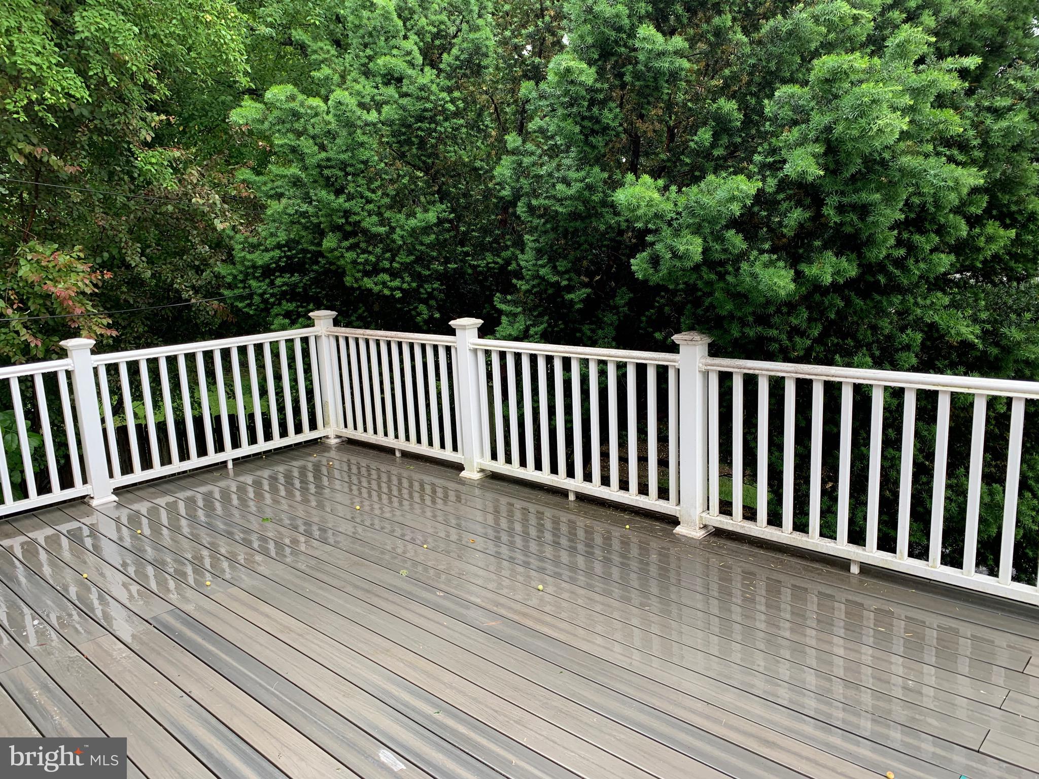 1524 Knox Road Wynnewood, PA 19096 - Photo 24 of 26