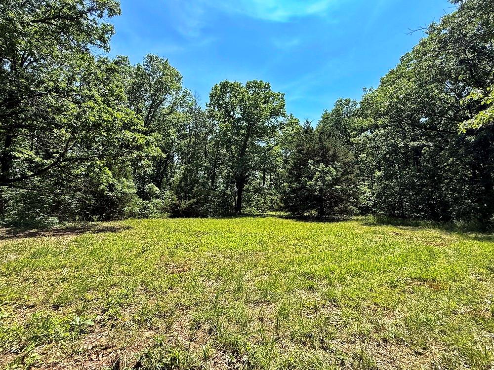 Tbd3 East 1550 Road Jerico Springs, MO 64756 - Photo 20 of 42