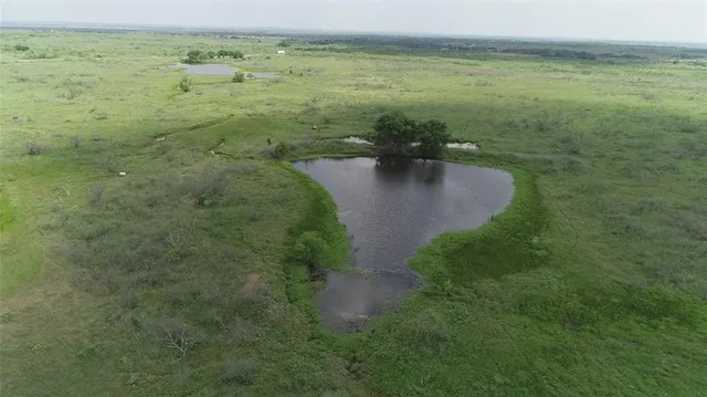 a view of a lake from a yard