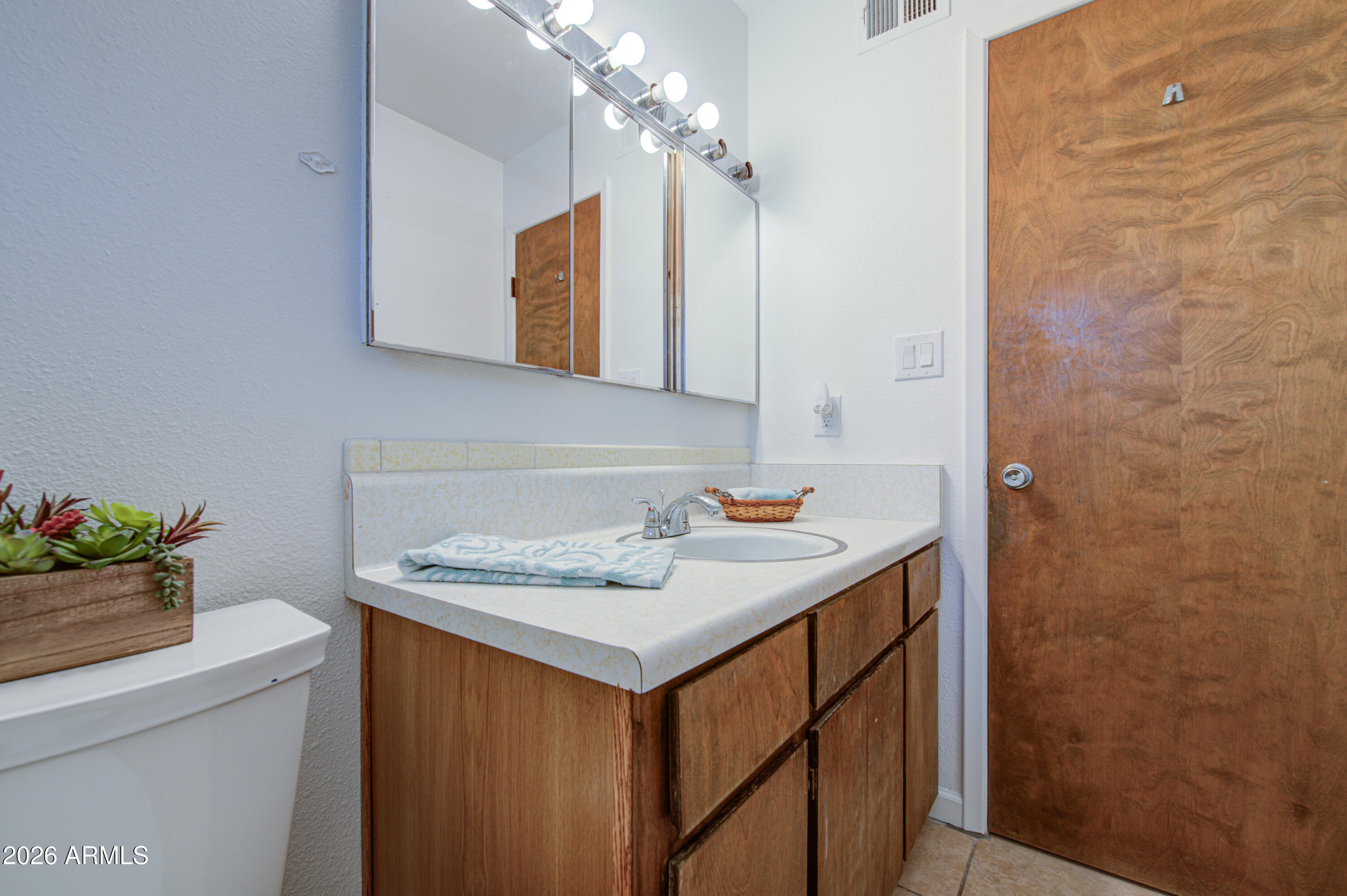 650 North Rennick Drive Apache Junction, AZ 85120 - Photo 3 of 36 Bathroom-pic 3