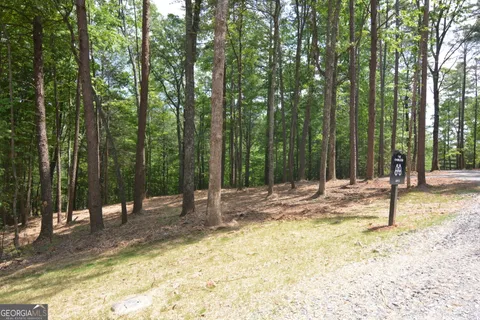$1,525,000 | 5 Murphy Highway, Mineral Bluff, GA 30559