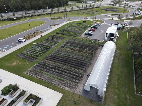 $1,900 | 11374 Velvet Apricot Drive, Land O Lakes, FL 34638