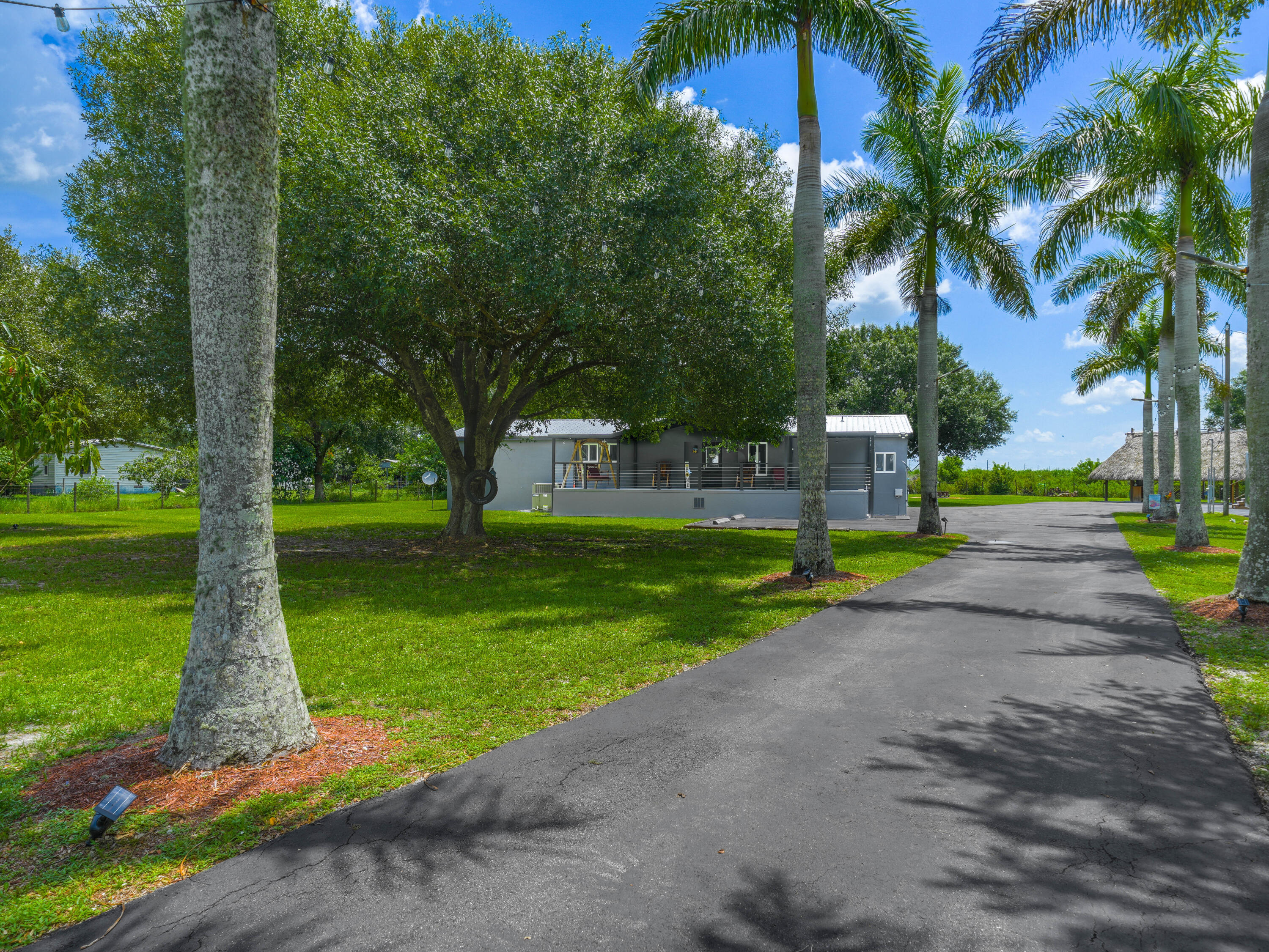 a view of a park with tree s