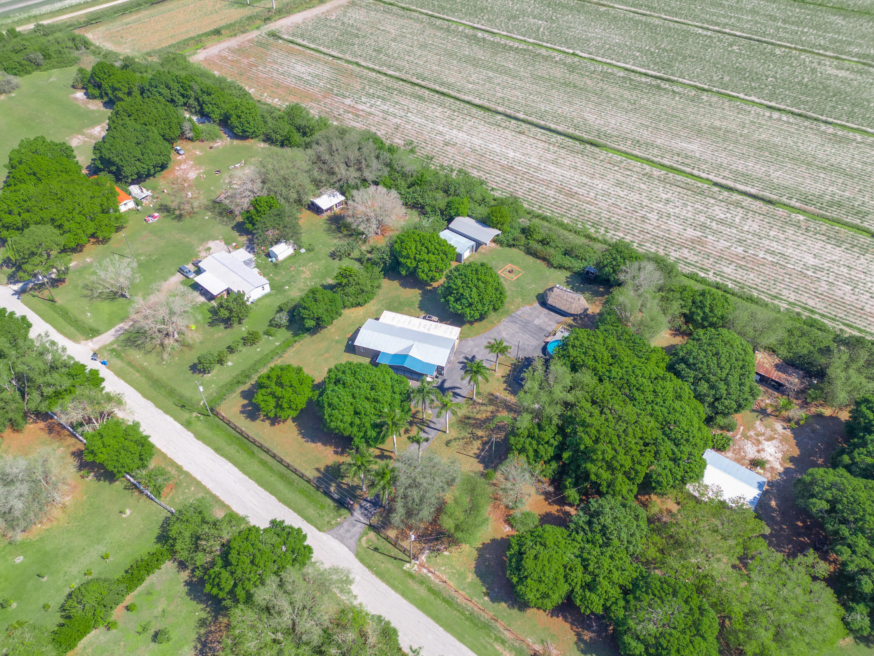 329 Kilpatrick Loop Clewiston, FL 33440 - Photo 44 of 56 a picture of flowers
