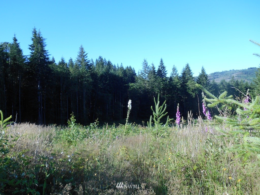 3 Skinner Road Woodland, WA 98674 - Photo 1 of 10 Gallery Image 1