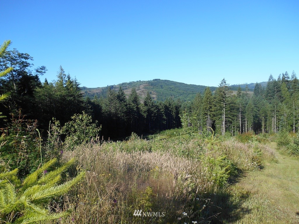 3 Skinner Road Woodland, WA 98674 - Photo 2 of 10 Gallery Image 2