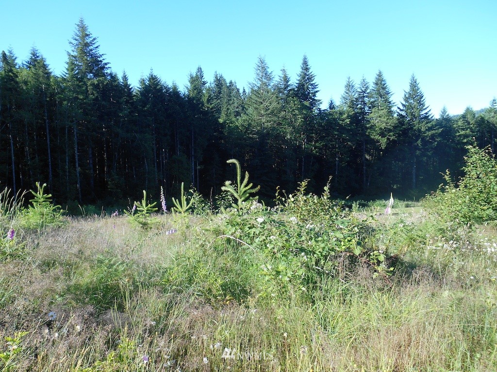 3 Skinner Road Woodland, WA 98674 - Photo 4 of 10 Gallery Image 4