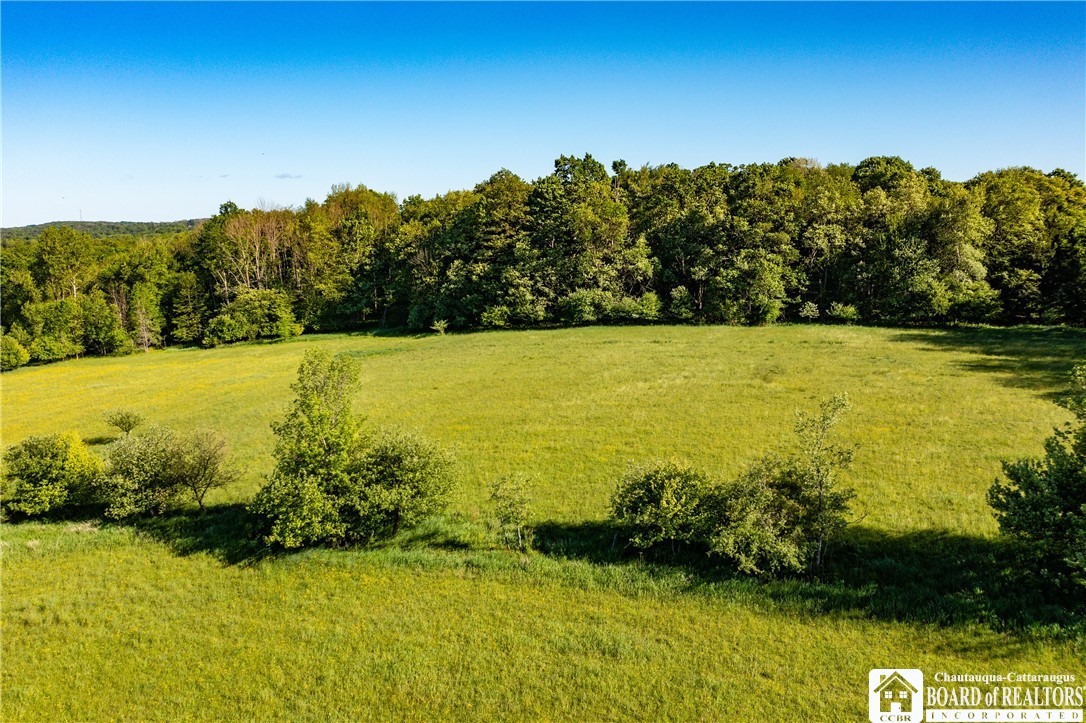 Sherman Road Ripley, NY 14775 - Photo 11 of 13