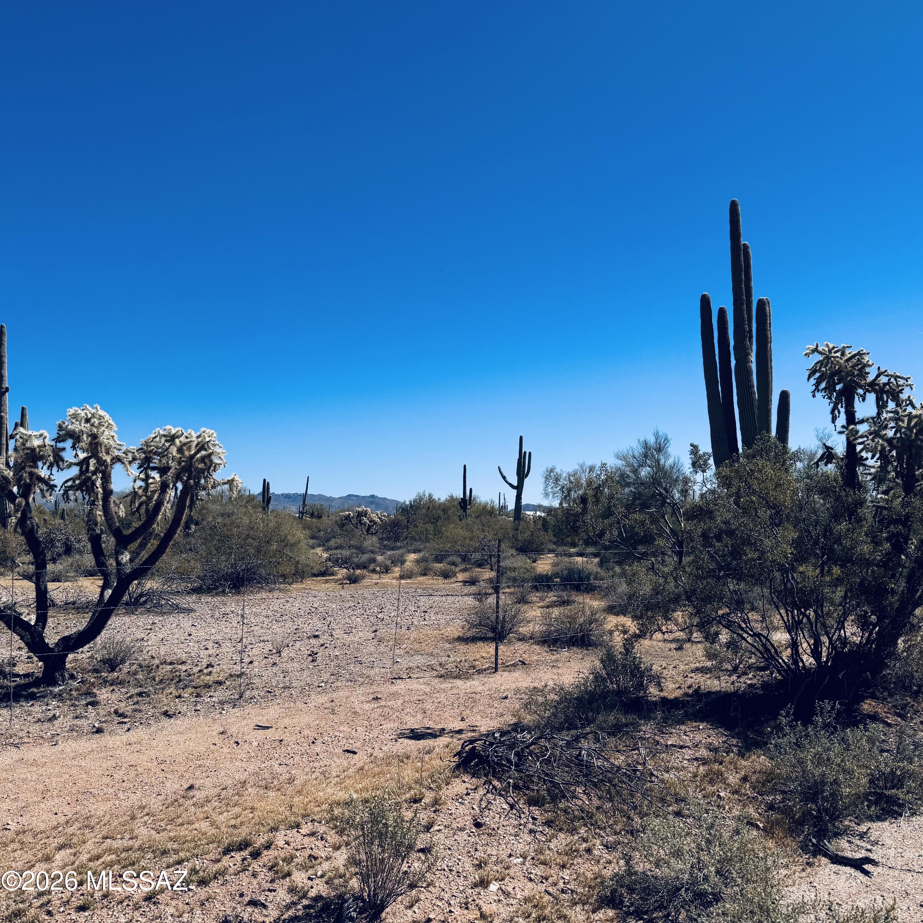 0 South Cattle Tank Road Marana, AZ 85658 - Photo 11 of 18 IMG_3139