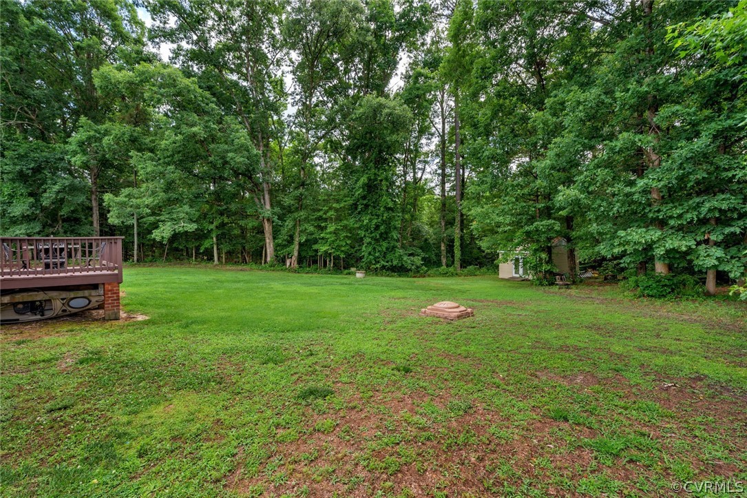 14498 Scotts Lane Carson, VA 23830 - Photo 43 of 44 a view of garden with trees in the background