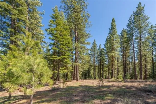 a view of outdoor space with trees